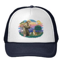 Shiba Inu Hats