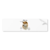 Shiba Inu History Design