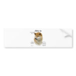 Shiba Inu History Design bumper stickers