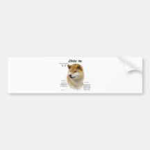 Shiba Inu History Design Bumper Stickers