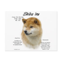 Shiba Inu History Design