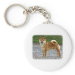 Shiba Inu keychains
