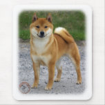 Shiba Inu mousepads