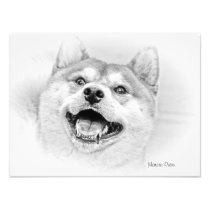 SHIBA INU PHOTOGRAPHIC PRINT