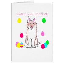 Shiba Inu Somebunny Loves Me cards