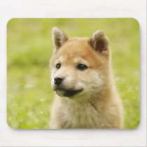 Shiba-ken puppy mousemat