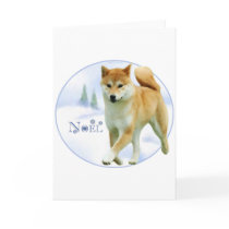 Shiba Noel