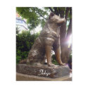 shibuya hachiko postcards