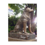 shibuya hachiko postcards
