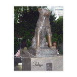 shibuya hachiko statue postcards