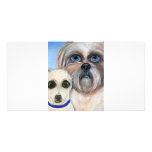 ShiChi photo cards