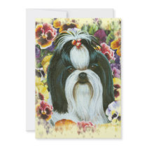 Shih Tzu and Pansies Art Print
