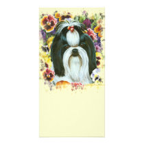 Shih Tzu and Pansies Art Print Photo Card