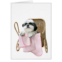 Shih Tzu baby buggy Card