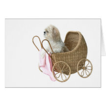 Shih Tzu baby buggy Greeting Cards