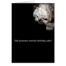 Shih-Tzu Birthday Card
