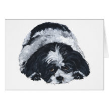 Shih Tzu Black & White Card