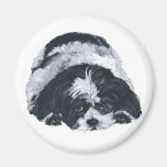 Shih Tzu Black & White Refrigerator Magnet