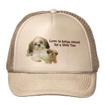 Shih Tzu Buddies Hat