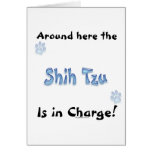 Shih Tzu Charge Cards