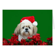 Shih Tzu  Christmas Card