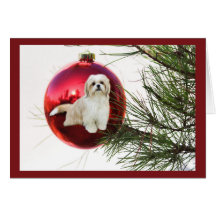 Shih Tzu Christmas Card Ornament