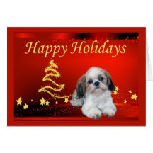 Shih Tzu Christmas Card Stars