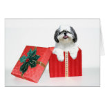 Shih Tzu Christmas gift Greeting Card