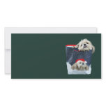Shih Tzu Christmas gift photo cards