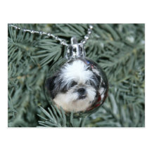 Shih Tzu Christmas ornament Postcards
