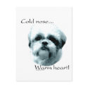 Shih Tzu Cold Nose Warm Heart postcards