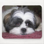 Shih Tzu Dog Mouse Mats