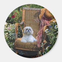Shih Tzu Garden Magnet