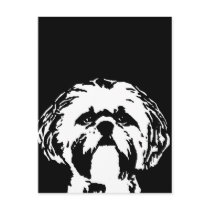 Shih Tzu Gifts - Postcard