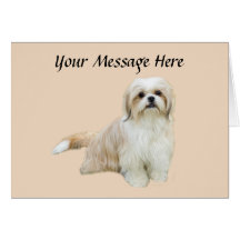 Shih Tzu Greeting Card