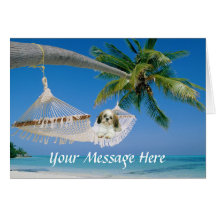 Shih Tzu Hanging Out Greeting Card