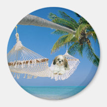Shih Tzu Hanging Out Magnet