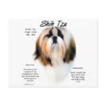 Shih Tzu History Design