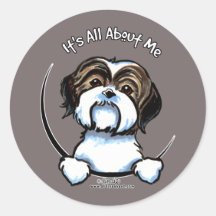 Shih Tzu Its All About Me Stickers
