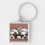 Shih Tzu Key Chains
