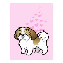 Shih Tzu Love (puppy cut) Postcards