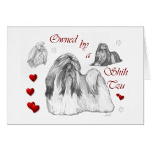 Shih Tzu Lovers Gifts Cards