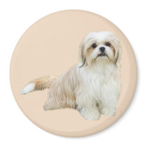 Shih Tzu Magnet