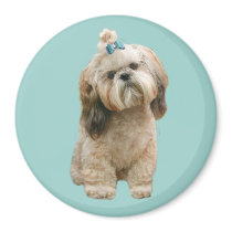 Shih Tzu Magnet