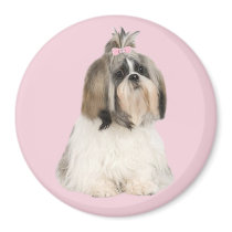 Shih Tzu Magnet