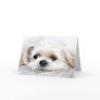 Shih Tzu miss you card