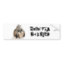 Shih Tzu on Board