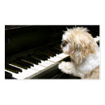 Shih Tzu piano lessons business cards