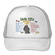 Shih Tzu Property Laws 4 Hat