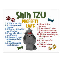 Shih Tzu Property Laws 4 Postcards
